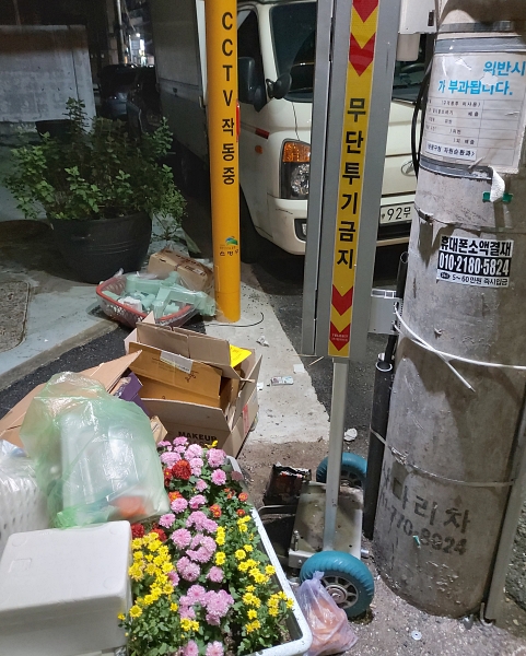 '무단 투기 금지', 'CC TV 작동중'이라 표시된 기둥 앞에, 꽃이 심어진 스티로폴 박스가 다른 쓰레기들과 함께 버려져 있다. 