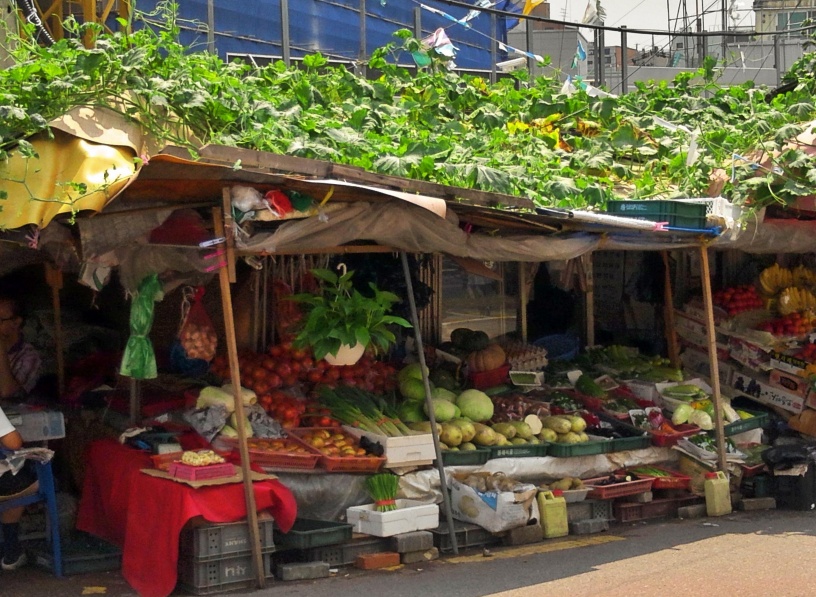 가게 판매대에 채소가 펼쳐져 있고, 가게 위에 쳐진 차양 위로 덩굴 식물이 푸르다. 